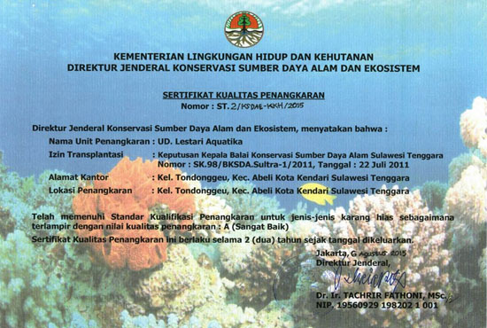 Certificate Quality Corals in Captivity